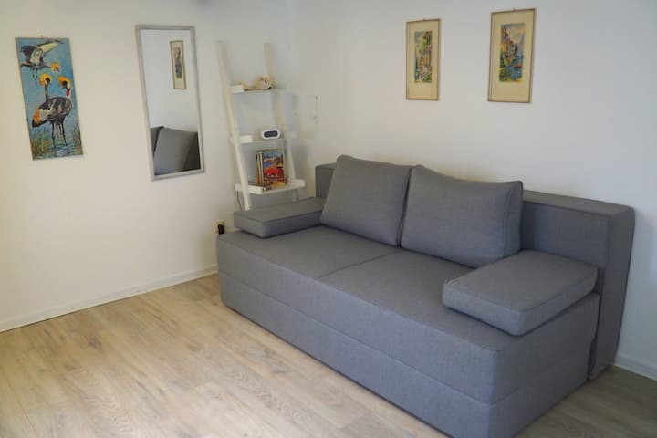 חדר "Julchen" בקומת הקרקע. ספה נפתחת 1,60
מטר , נוחה ל -2 אנשים, 11 מ"ר