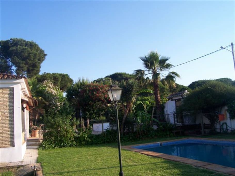 Jardín