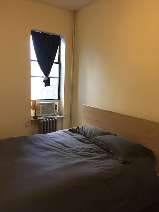Charming light-filled apartment in Crown Heights