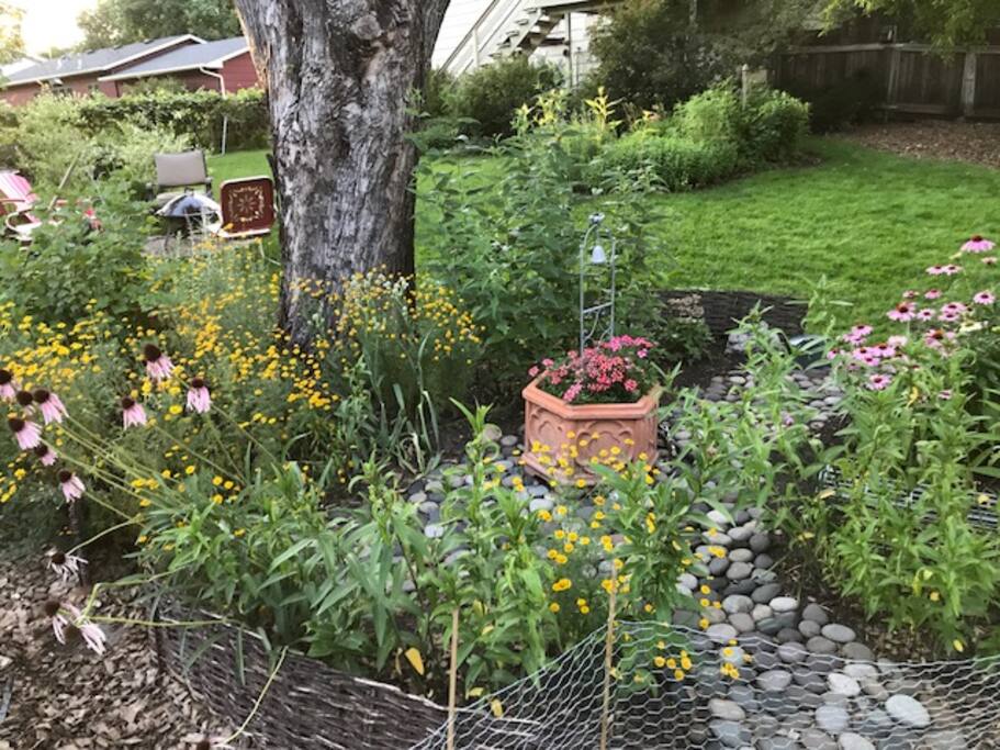 Rooms For Rent In Northfield Mn Rooms For Rent In Northfield Mn