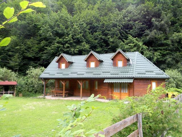 A Cabin in The Apuseni Mountains, Tranișu