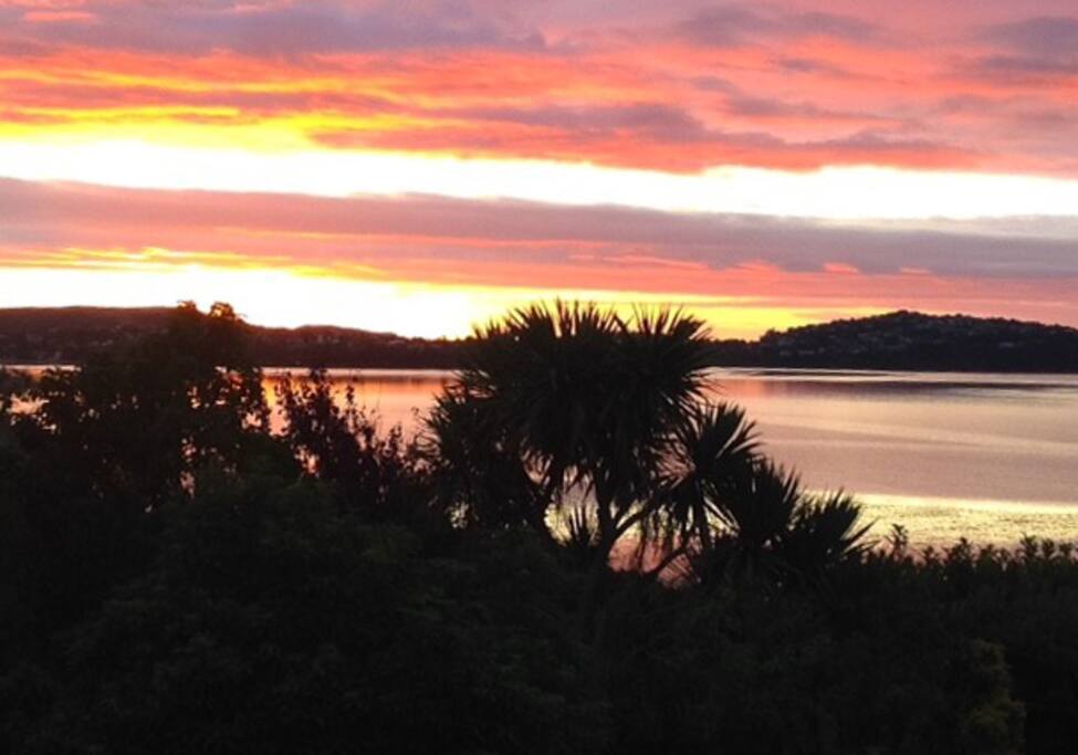 The view from your private deck.