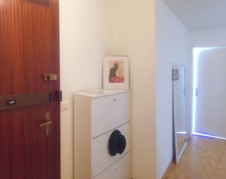 Entrance / entrée de l appartement