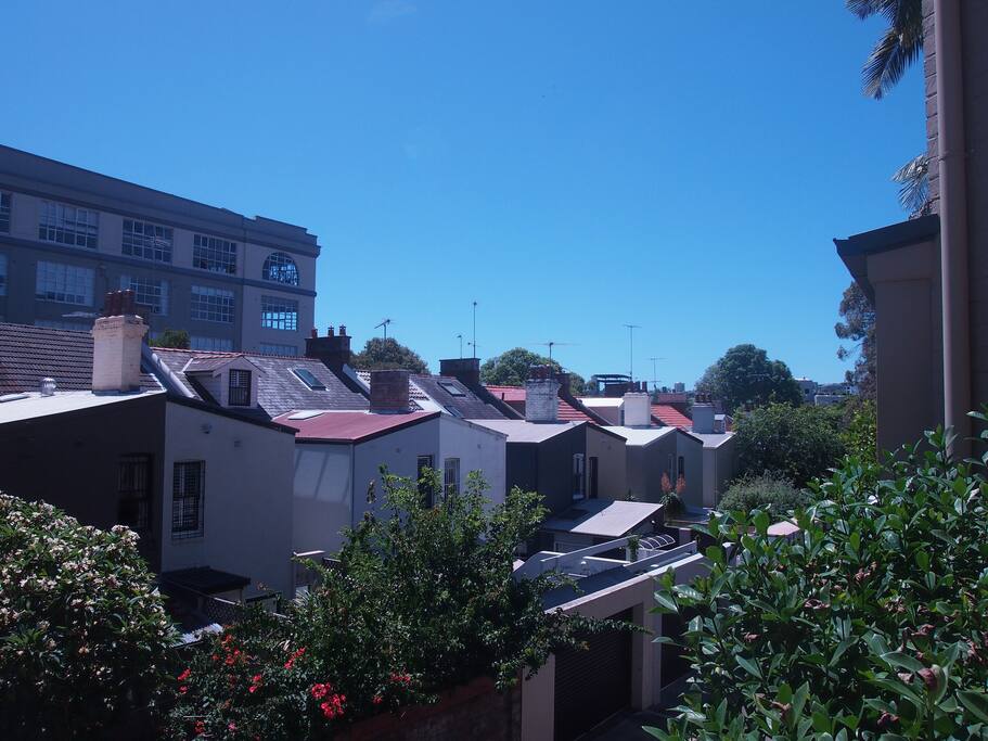 North-eastern view from the terrace.