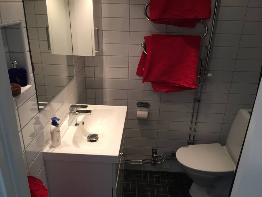 fully renovated, modern bathroom.