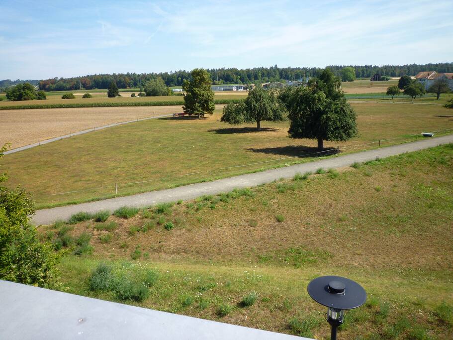 View from small balcony