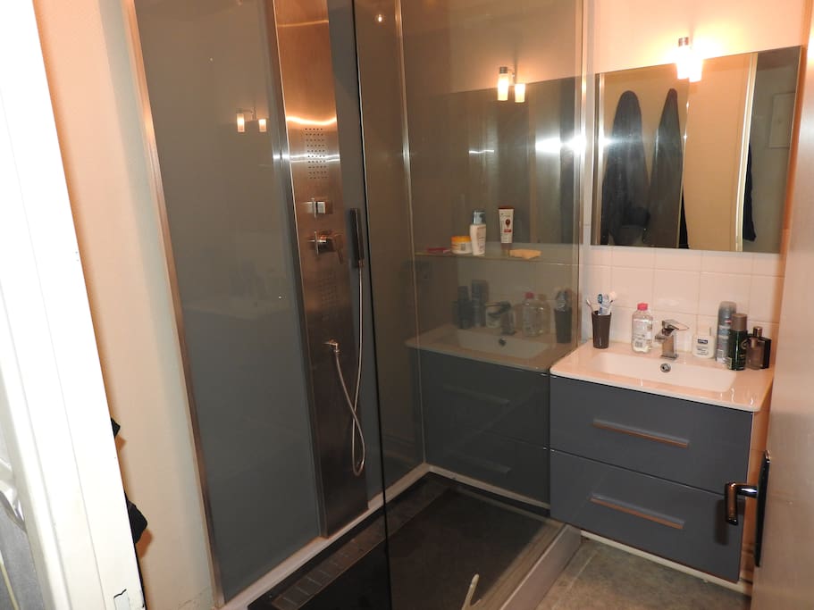 douche hydromassante