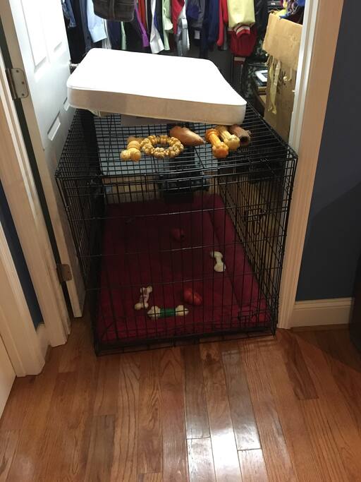 Large dog crate available