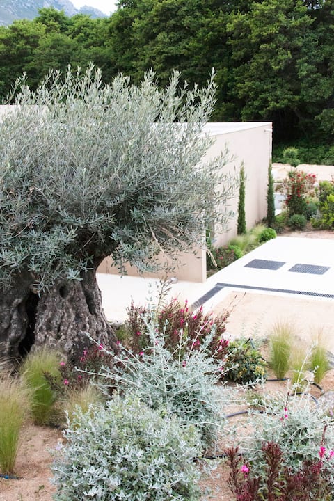 Casa Ghjuvanmatteu - Filetta with private pool