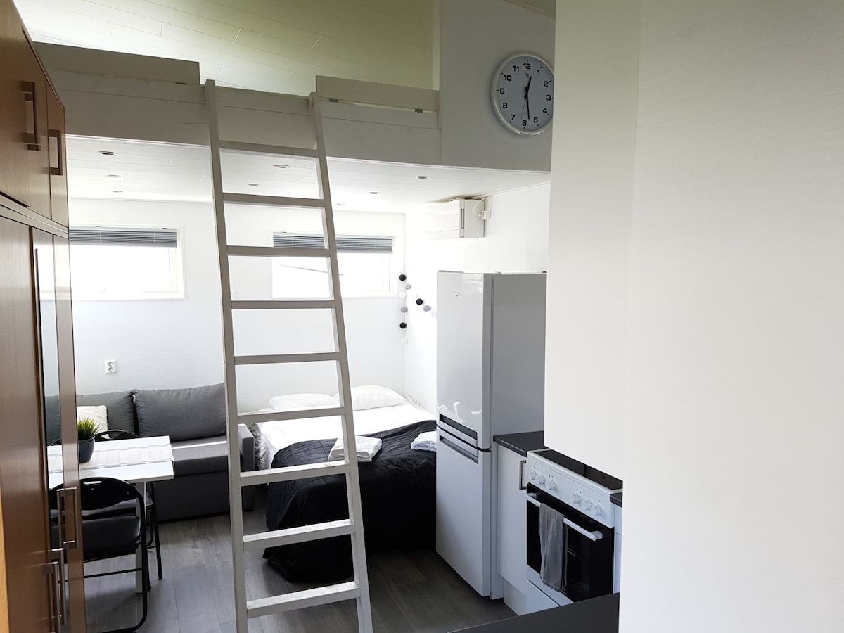 An open interior displays a cozy living area with a sectional couch and a spacious bed situated against the wall. A loft area is accessible by a white ladder. An air conditioning unit and modern appliances, including a refrigerator and oven, are visible in the kitchen space.