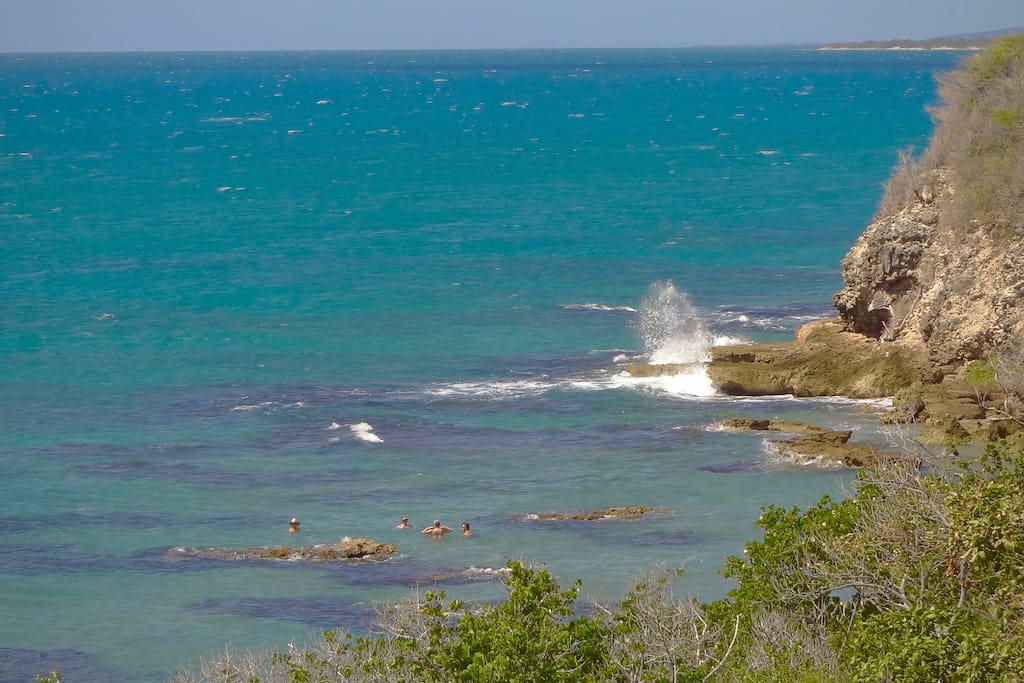 Swim, snorkle, kayak, fish from the adjacent beach.