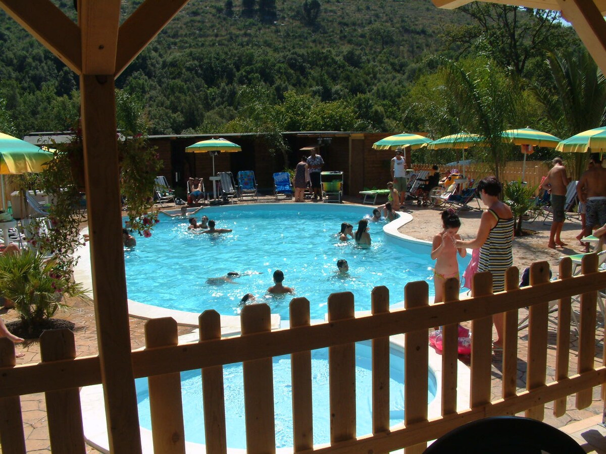 A lively outdoor pool area is surrounded by umbrellas and lounge chairs. Guests of various ages enjoy the water, while trees and greenery line the backdrop, enhancing the natural feel of the space. A fence partially encircles the pool, adding a sense of privacy.