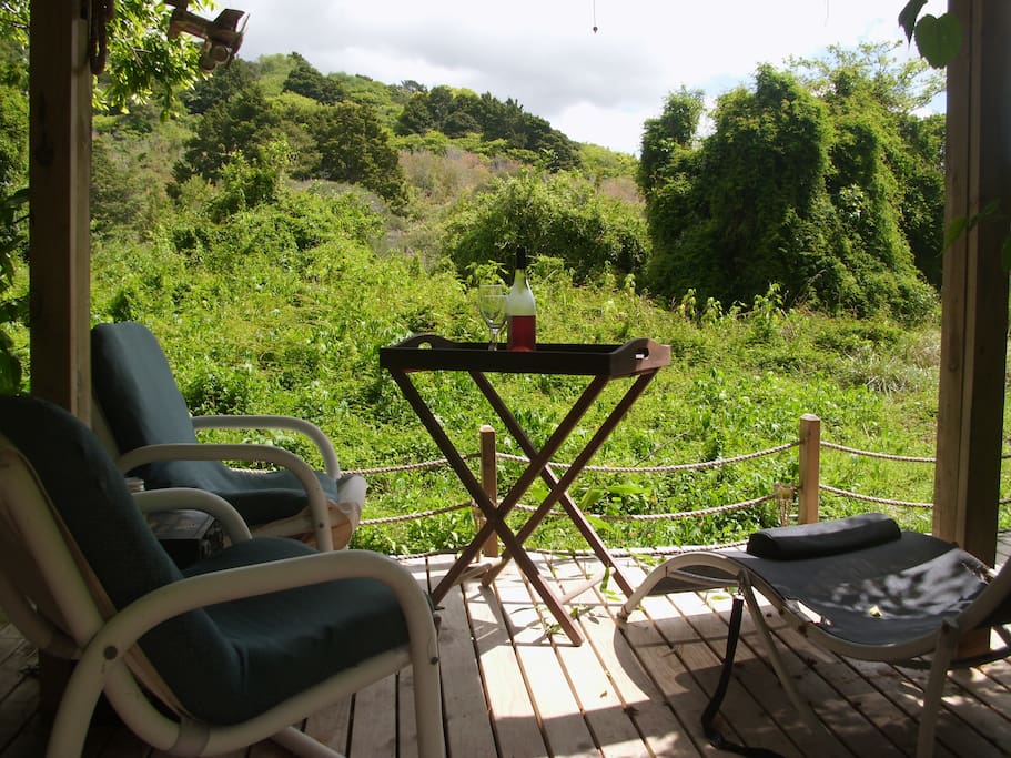 A Gazebo over looking the natural environment watching and listening to the birds