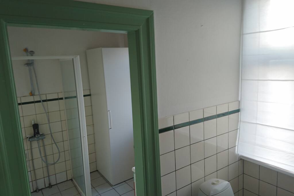 Downstairs Shower/Bathroom Room