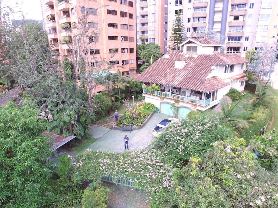 Drone Picture