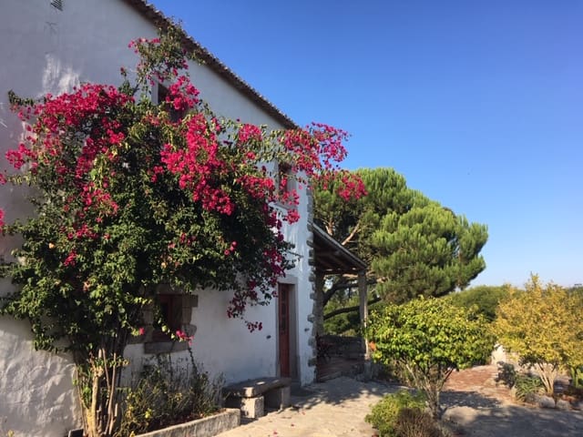 Airbnb Figueiros Vacation Rentals Places To Stay Lisboa