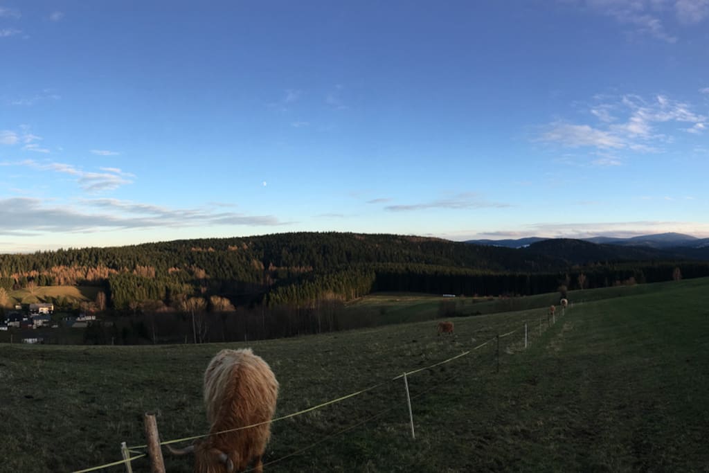 Panoramablick
