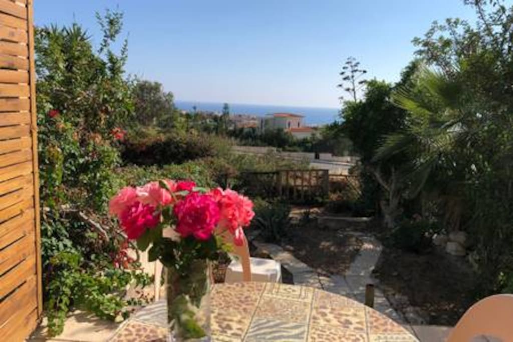 View from balcony and garden.
