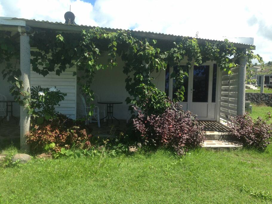 lodge avogado