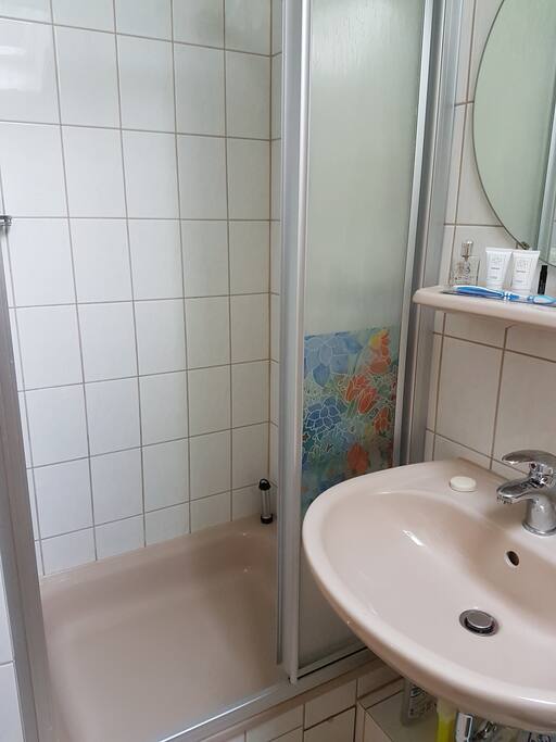 ein eigenes Bad mit Dusche, WC und Waschbecken