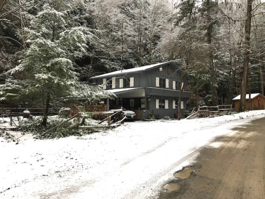 Timberlost Dec 2018