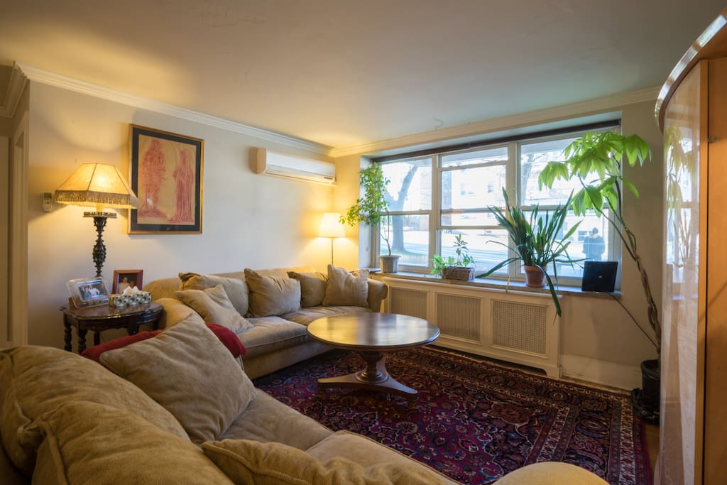 Bright, sunlit and spacious living area with huge couches