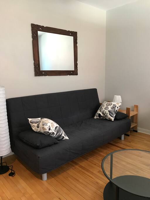 Living room + sofa bed