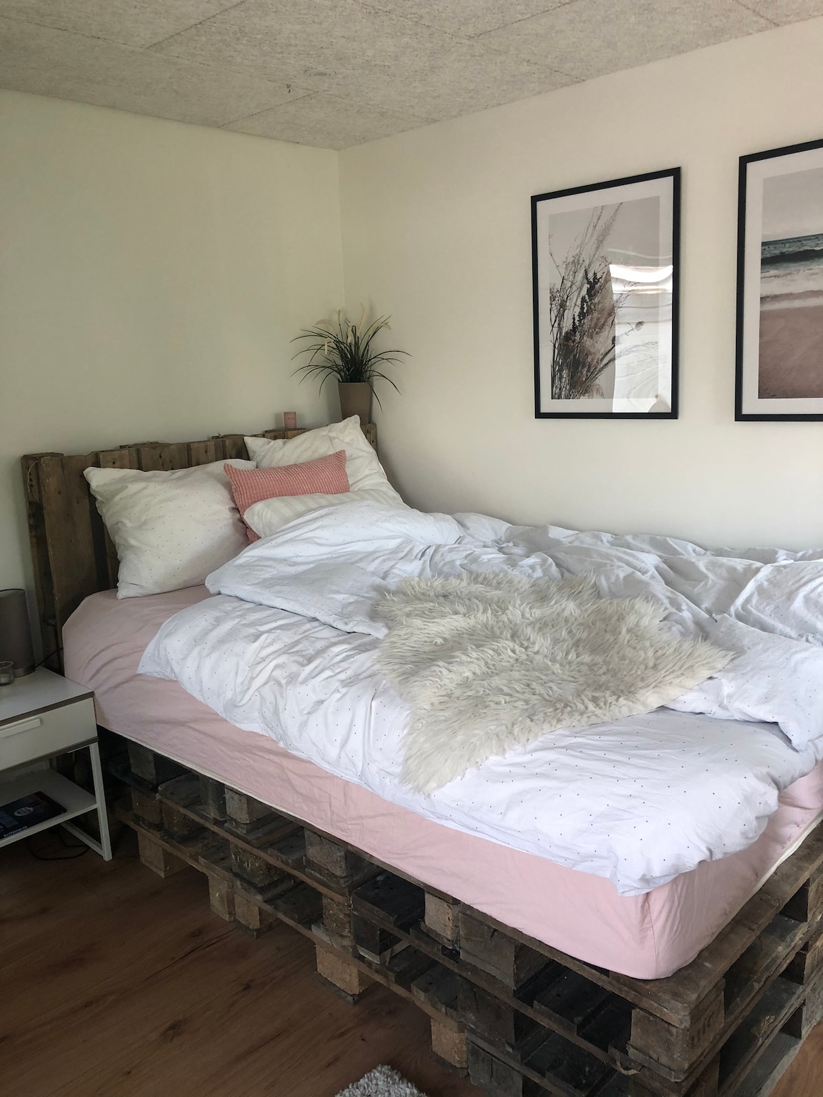 غرفة بحجم كوين
(الطابق السفلي). لديه مخرج إلى الشرفة. المدخل من الرصيف (عند الباب الخلفي).