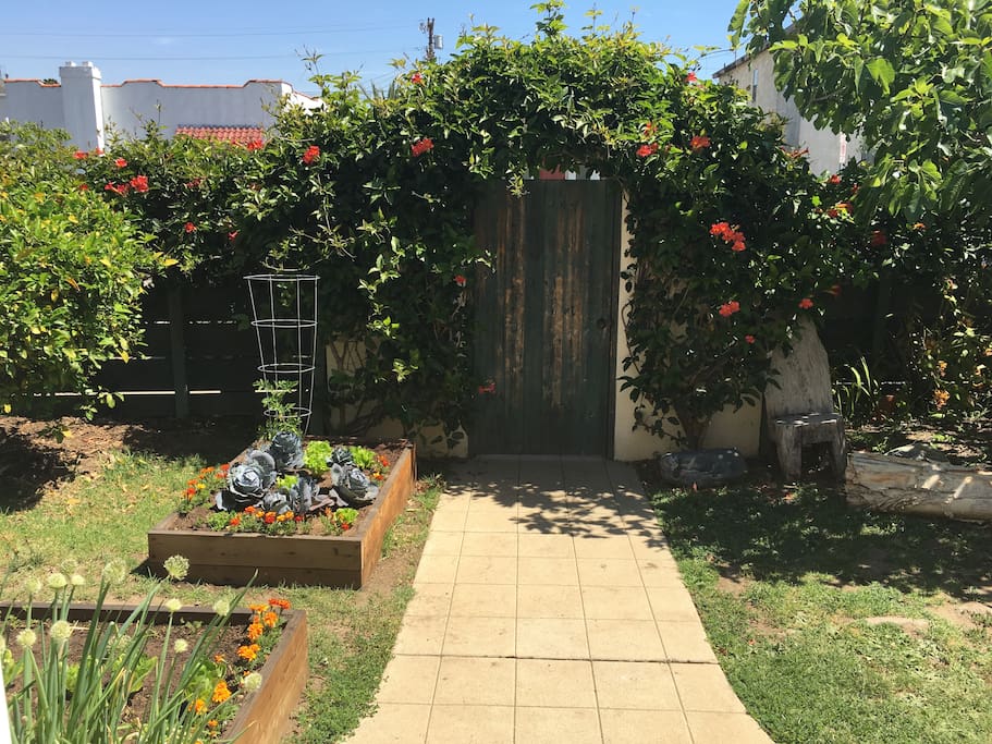 View of entrance to garden from front door of the house