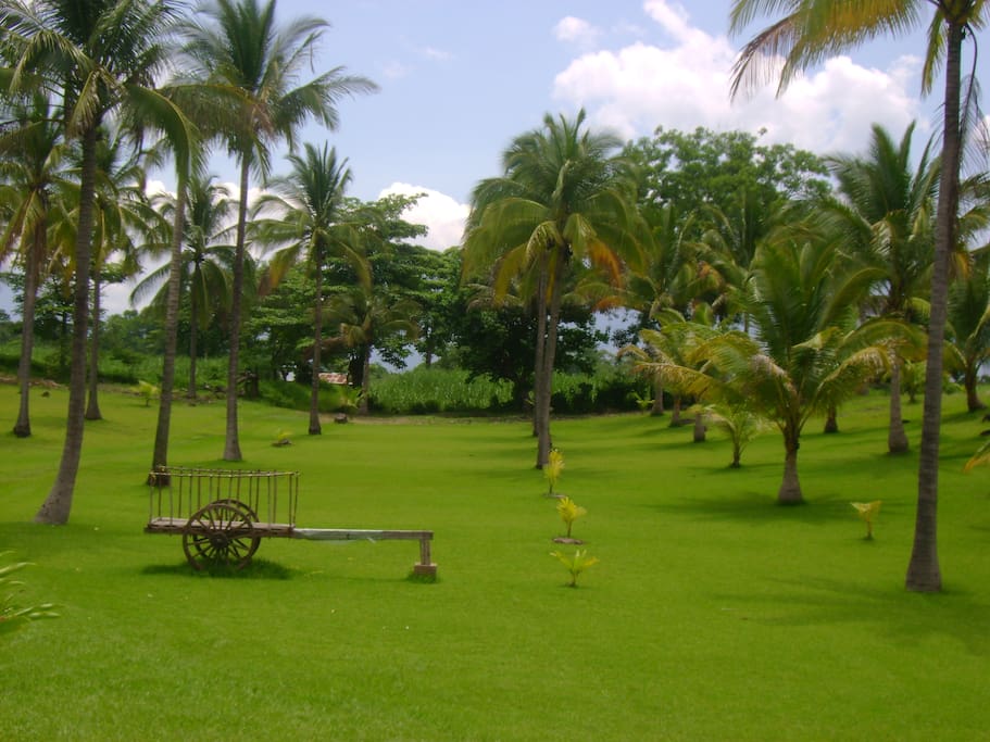 Amplios jardines