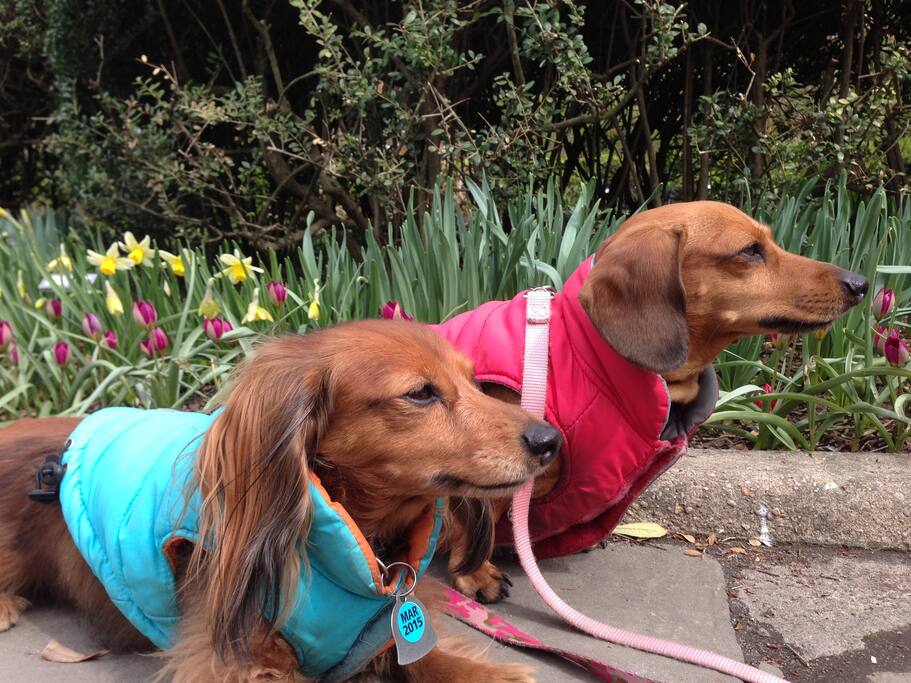 Twyla and Tessie