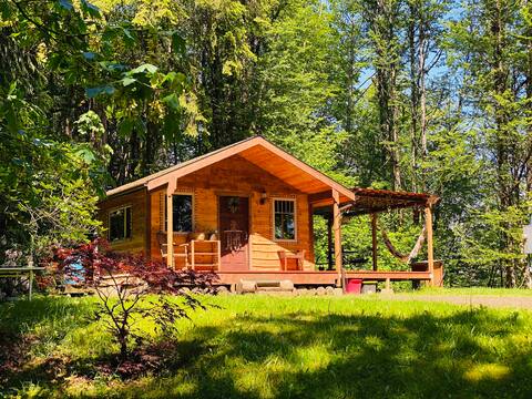 "BIG" Tiny House with Columbia River views