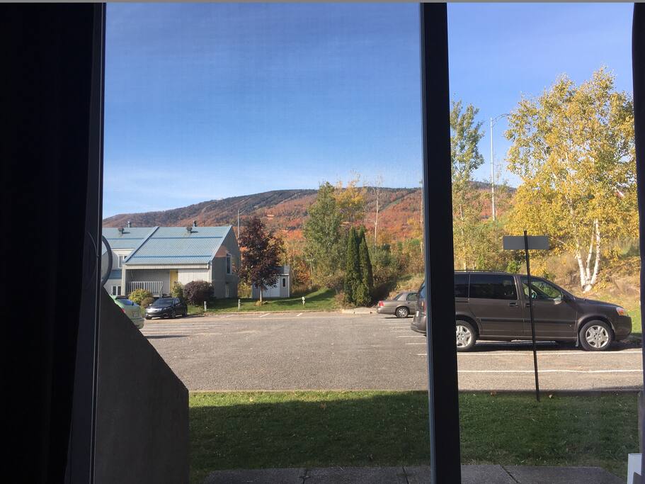 Vu de la porte patio