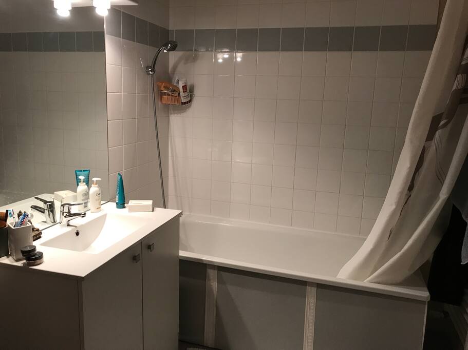 SDB avec WC
