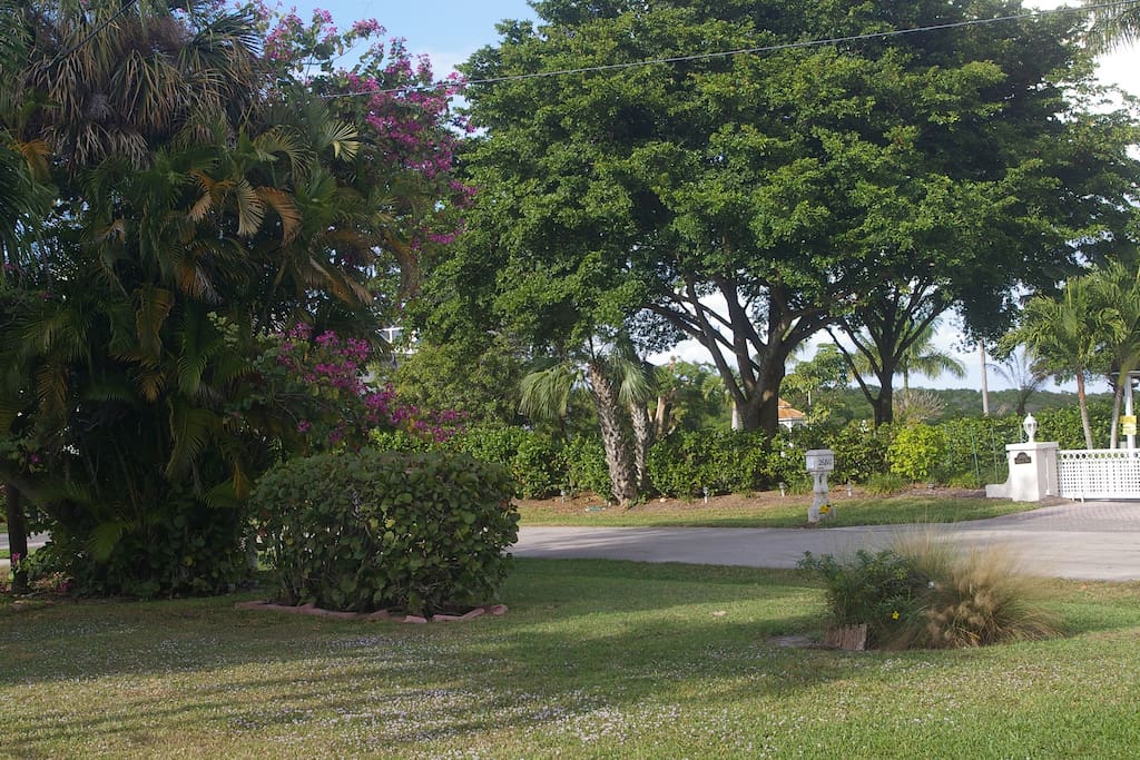 View from Front, looking across to Estero bay. Quiet, cul-de-sac no through traffic.