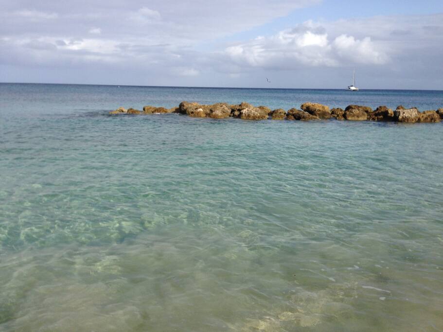 The Sea