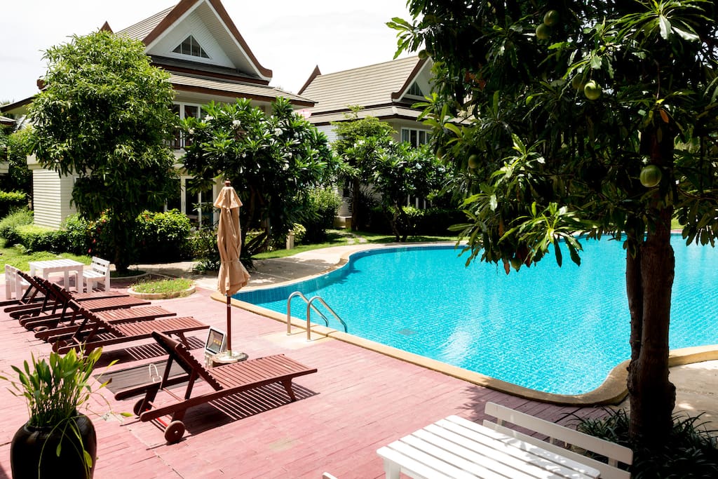 Main pool with sunbeds.