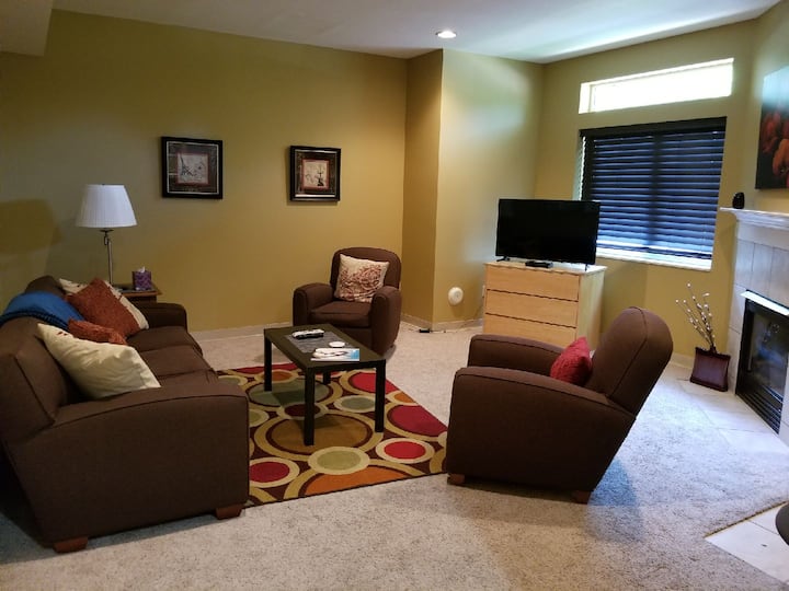 Perfect Apartment Next to MU and Downtown Apartments for Rent in