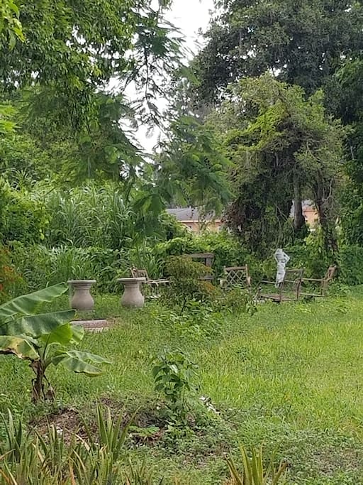 View of the backyard fire pit