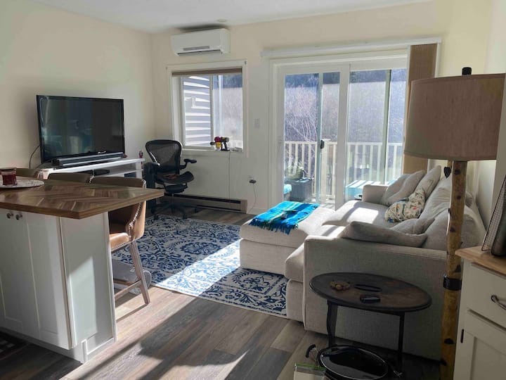 Cozy 1 Bedroom Condo With Pool And River Views - ルーン山, NH