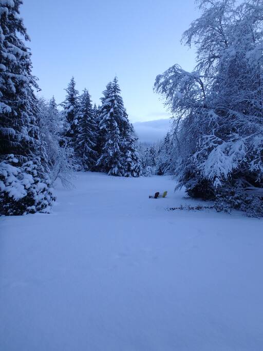 Sometimes we have snow!