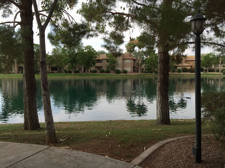 Lake a few steps from the condo
