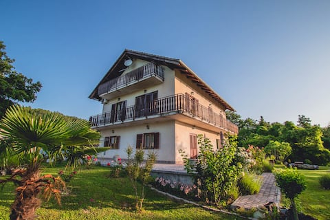 Apartment Synergia-Istria