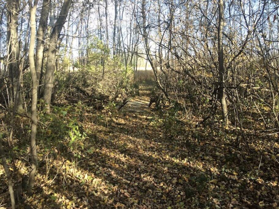 Paths through tall grass prairie, meadow, forest. Great for birding, walking and relaxing.
