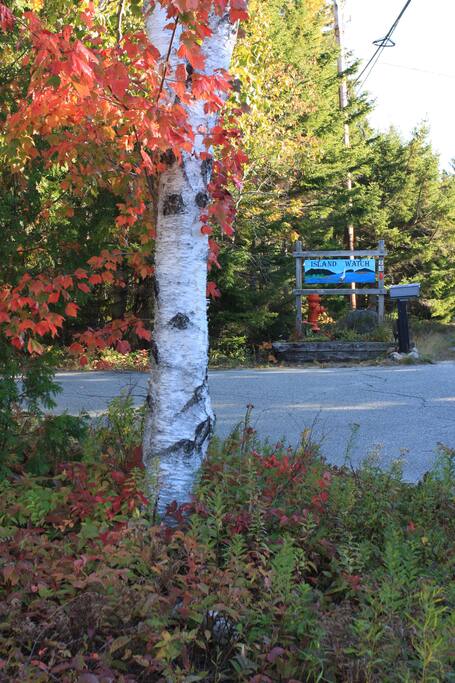 Entrance to Island Watch