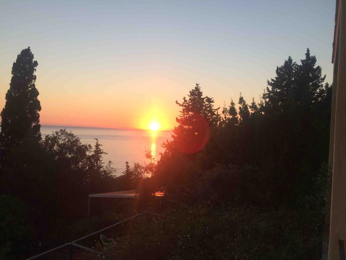 A sunset is captured over the calm sea, with warm hues of orange and yellow radiating in the sky. Silhouetted trees line the foreground, adding depth and tranquility to the scene. The sun appears to gently dip toward the horizon.