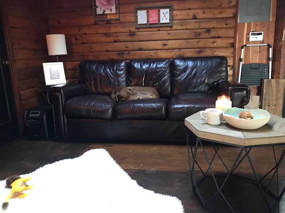 Comfy leather sofa bed