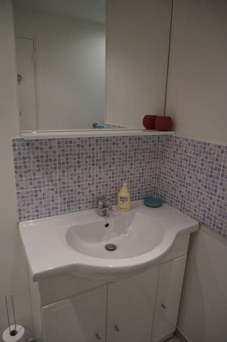Salle d'eau avec douche