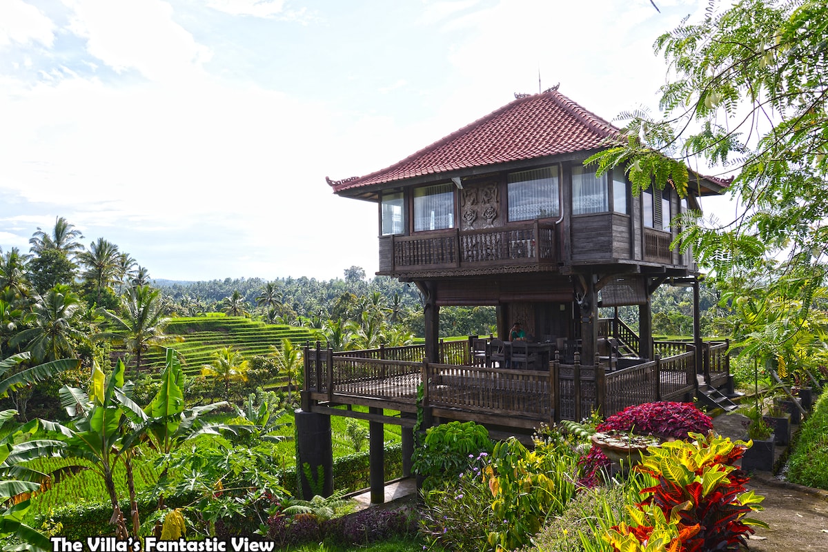 A traditional wooden villa is elevated above lush terraced rice fields, framed by vibrant tropical plants. A spacious balcony offers a panoramic view of the surrounding landscape, with palm trees and distant mountains visible under a clear blue sky.