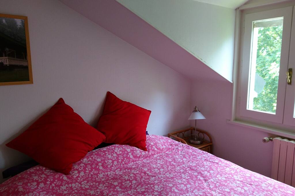 Quiet garden view from your bed